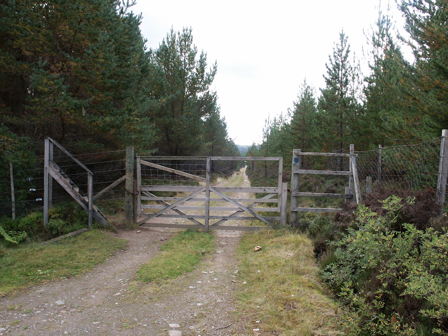 Sluggan Bridge over River Dulnain
